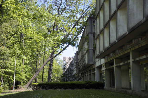 CAMPUS CLEANUP